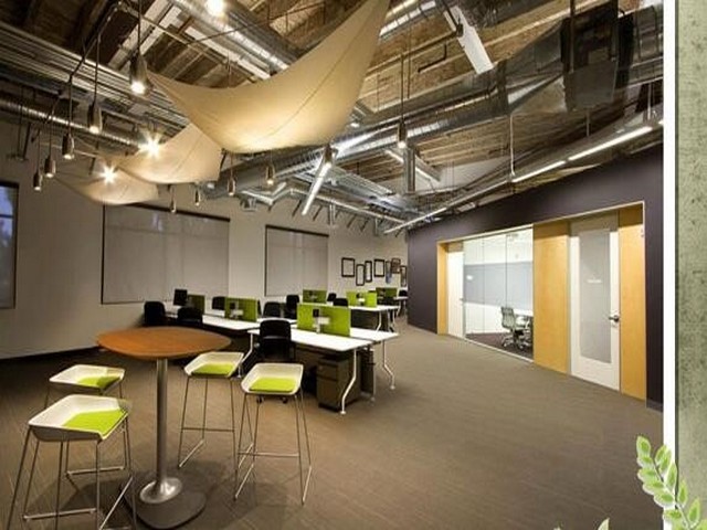 西青区厂区树木养护承包